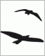 Corporate Design, Logoentwicklung, Briefbogen, Visitenkarten, Webpage etc. für Ruth Zerres