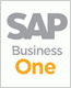 Launch der SAP Business One Landing Page f�r rconsulting aus Gladbeck