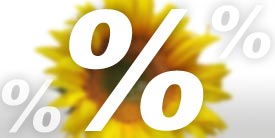 Webagentur Essen Preise ! Homepagekosten. Wieviel kostet eine Webseite?