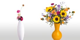 Webagentur Essen Preise günstige Homepage! Preise und Leistungen vergleichen! Webagentur Essen Preise günstige Homepage! Preise und Leistungen vergleichen!